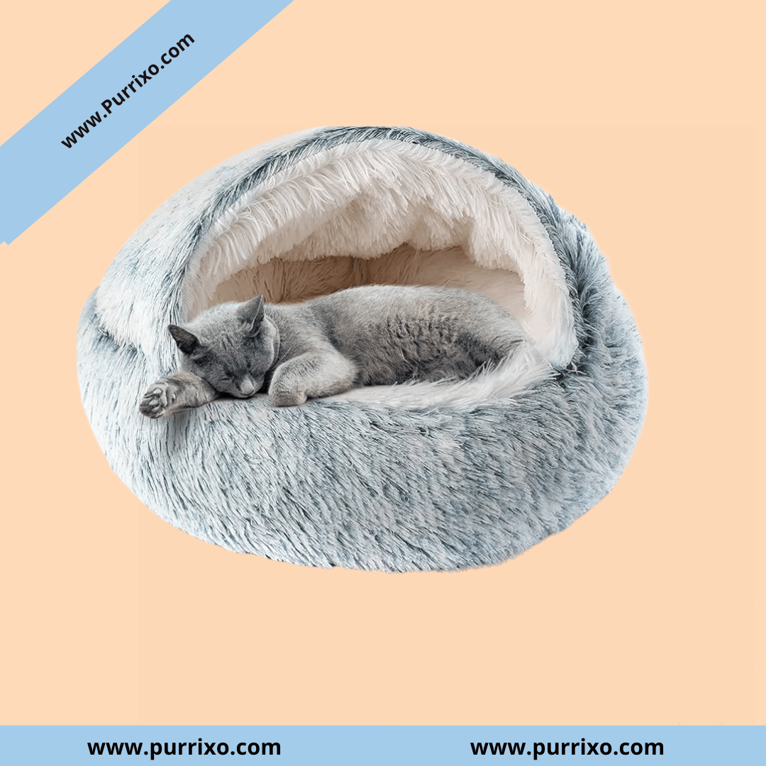 De Purrixo Nest