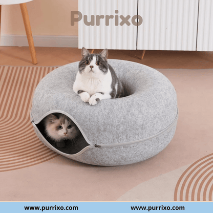 Purrixo kattengrot