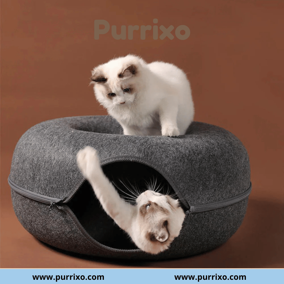 Purrixo kattengrot