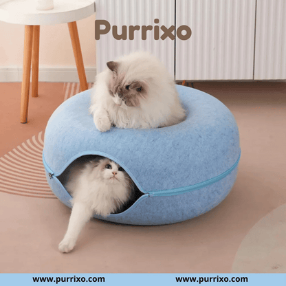 Purrixo kattengrot