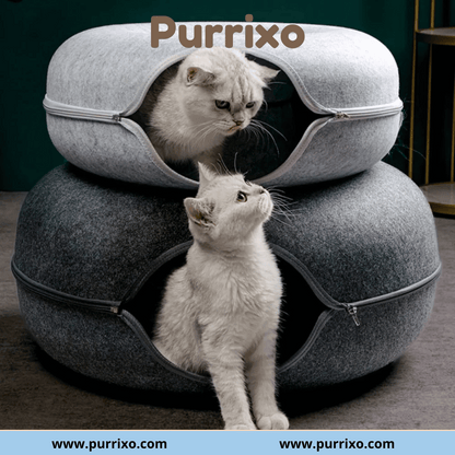 Purrixo kattengrot