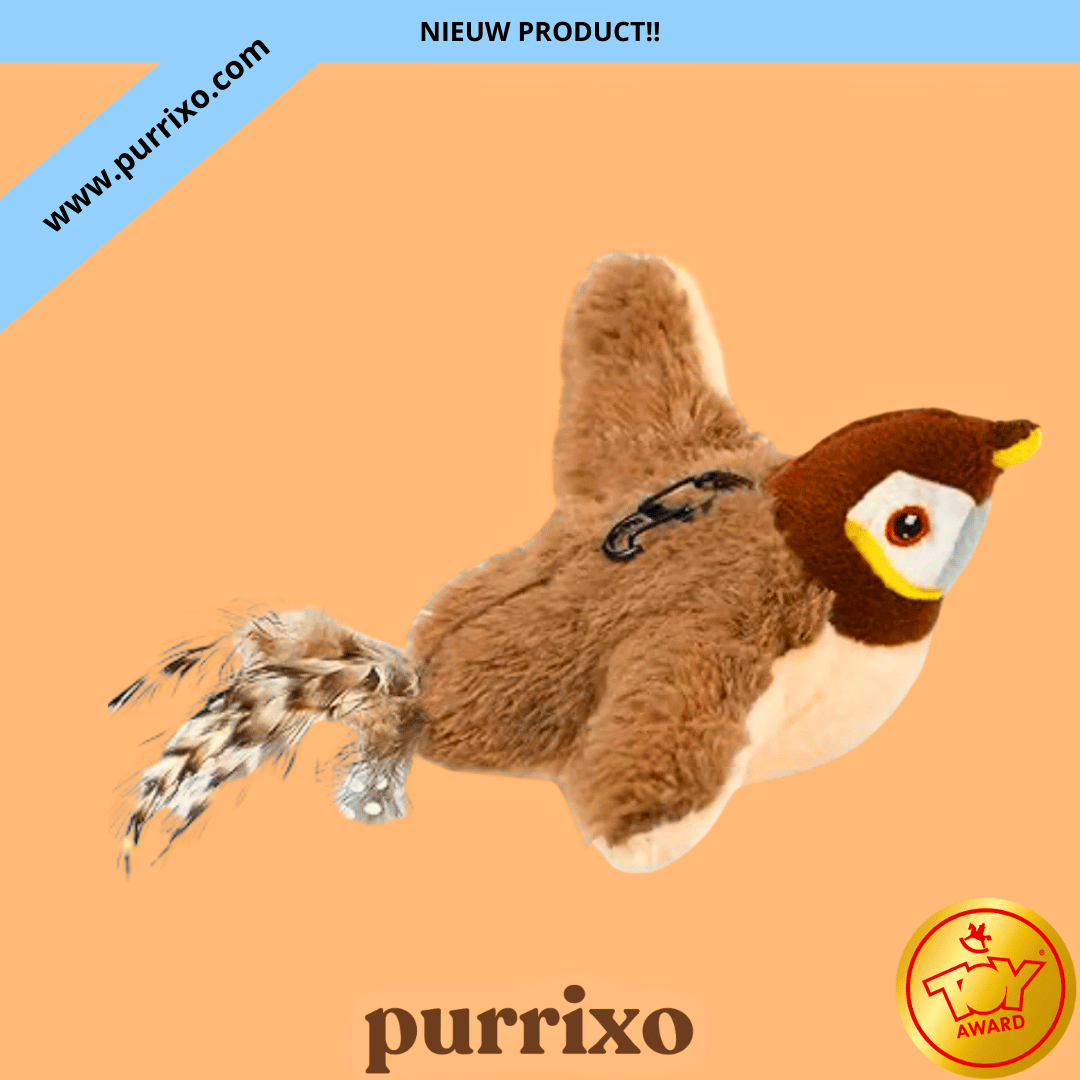 The Purrixo Bird | Interactive Cat Toys