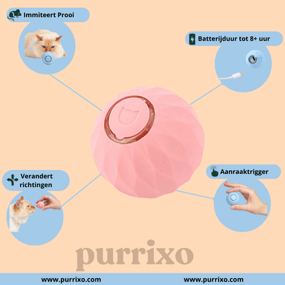 The Purrixo Ball | Interactive Cat Toys