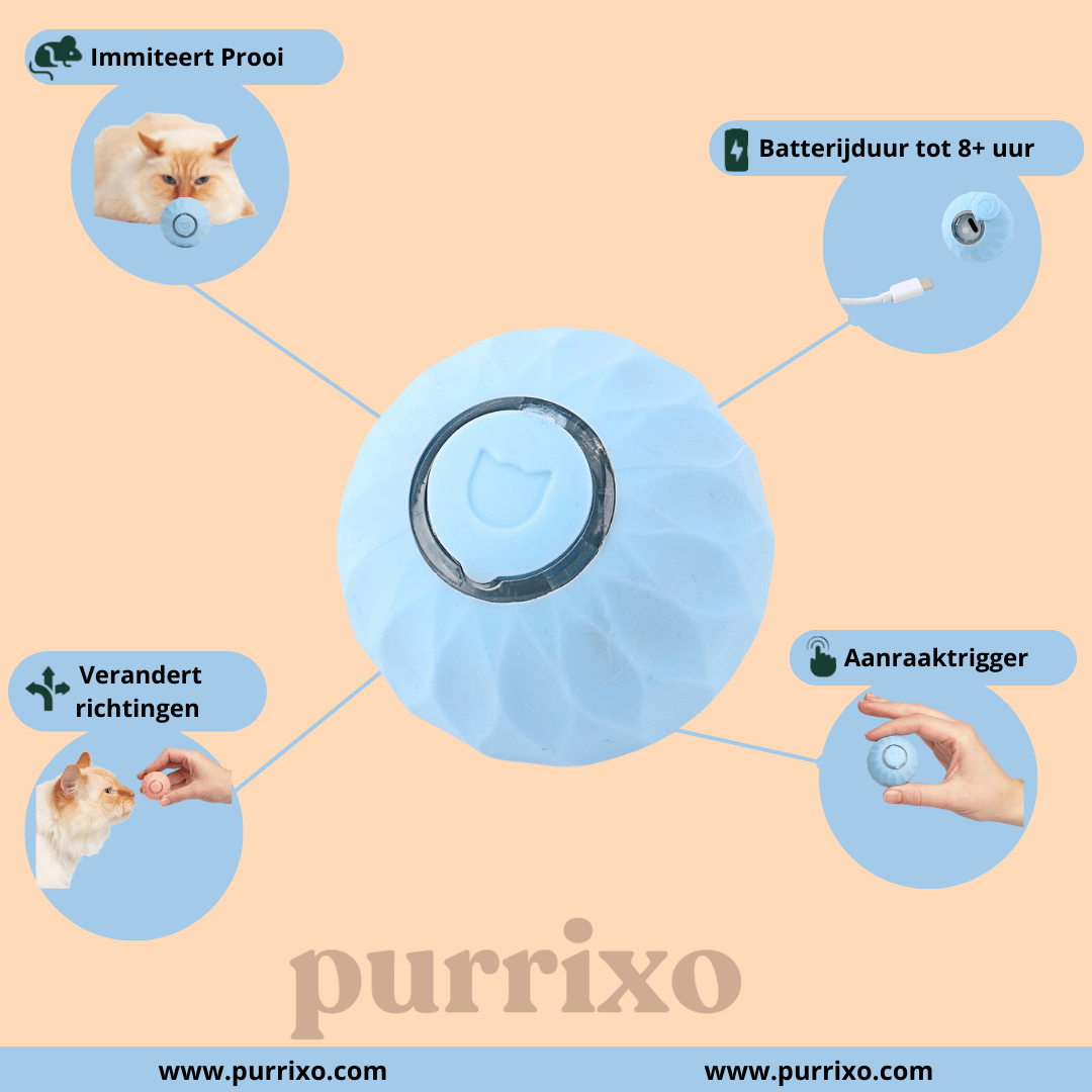 The Purrixo Ball | Interactive Cat Toys