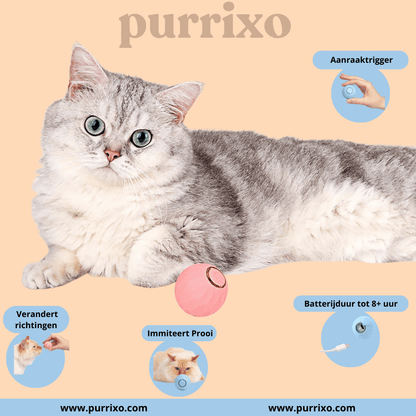 The Purrixo Ball | Interactive Cat Toys