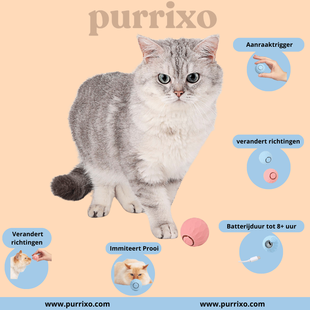 The Purrixo Ball | Interactive Cat Toys