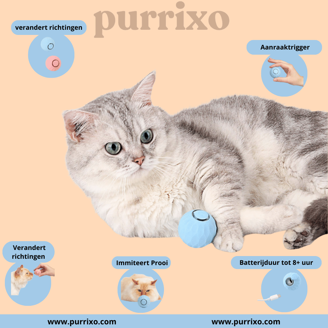 The Purrixo Ball | Interactive Cat Toys