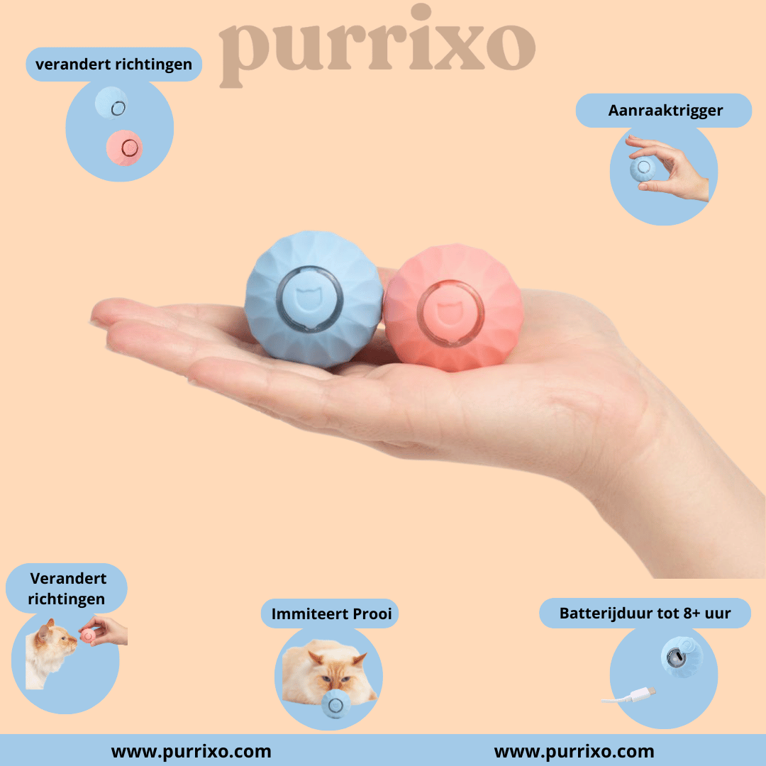 The Purrixo Ball | Interactive Cat Toys