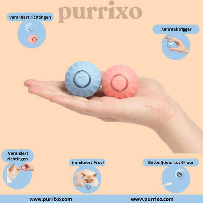 The Purrixo Ball | Interactive Cat Toys