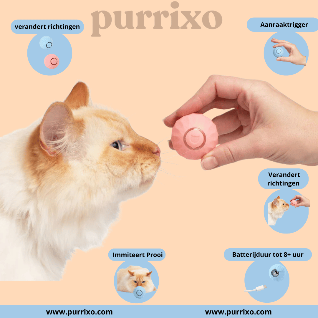 The Purrixo Ball | Interactive Cat Toys