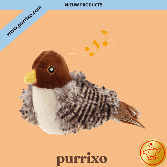 The Purrixo Bird | Interactive Cat Toys