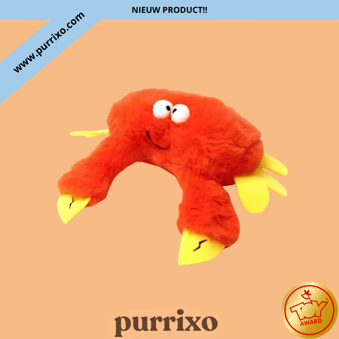 The Purrixo Bird | Interactive Cat Toys