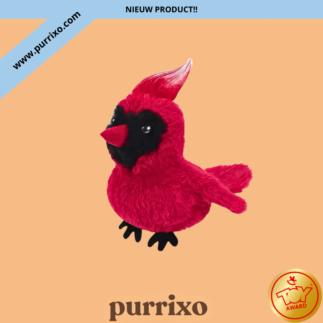 The Purrixo Bird | Interactive Cat Toys